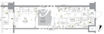 ドゥーエ早稲田 613 間取り図