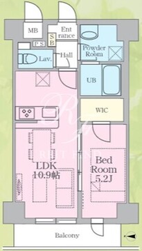 SSH萩中 202 間取り図