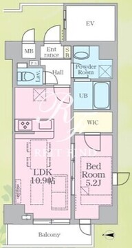 SSH萩中 303 間取り図