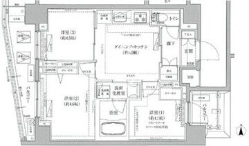 ティモーネプレミアムノルド亀戸 802 間取り図