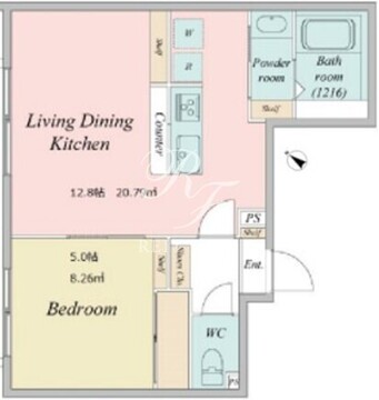 ライブフラット学芸大学 101 間取り図