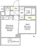 イプセ四谷テラス 503 間取り図