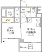イプセ四谷テラス 203 間取り図