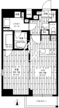 ステージグランデ菊川 704 間取り図
