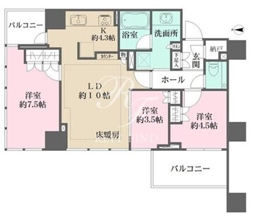クラッシィタワー新宿御苑 801 間取り図