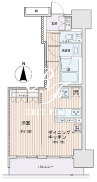 エスティメゾン錦糸町2 903 間取り図