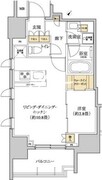 グレーシアフィット三軒茶屋 801 間取り図