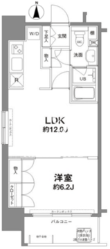 コンフォリア新宿御苑1 1101 間取り図