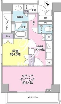 コンフォリア三宿 1001 間取り図