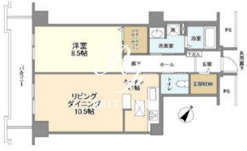 トルナーレ日本橋浜町 611 間取り図
