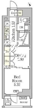 アジールコート松濤 503 間取り図