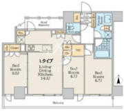 クレストコート中野富士見町 801 間取り図
