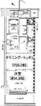 スパシエ幡ヶ谷 206 間取り図
