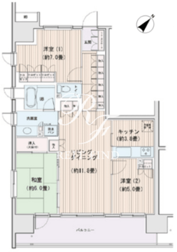 エスティメゾン豊洲レジデンス C-501 間取り図