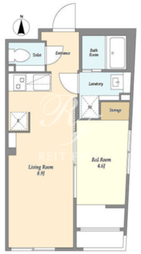 ミリアレジデンス早稲田山吹町 503 間取り図