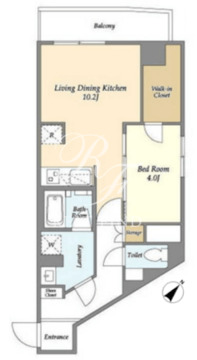 グランカーサ西葛西 503 間取り図
