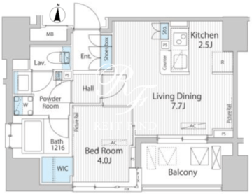 グランシエル南青山 303 間取り図