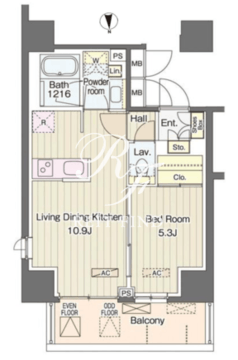 ヴェルデコート西新宿 1105 間取り図