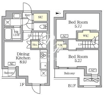 アジールコート三宿テラス 109 間取り図
