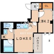 カーザ・ブランカ北斎 203 間取り図