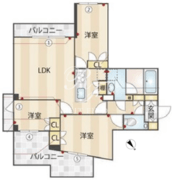 ACPレジデンス新江古田 501 間取り図
