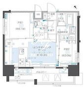 ズーム本郷 801 間取り図