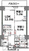 シティコート目黒 2-408 間取り図