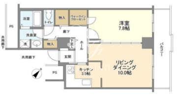 トルナーレ日本橋浜町 2504 間取り図