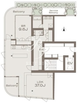 ザ・グランデュオ学芸大学 301 間取り図