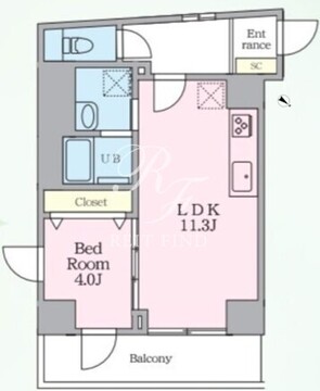 ルヴァスト ヨヨギ パーク 503 間取り図