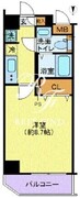 ディアレイシャス木場公園 501 間取り図
