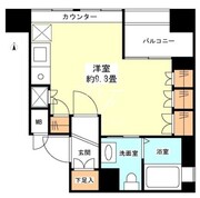 グランカーサ新宿御苑 507 間取り図