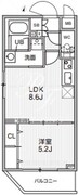 アリビス志村三丁目 101 間取り図