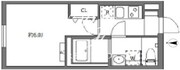 セレヌコート新江古田 304 間取り図