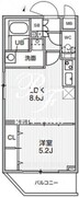 アリビス志村三丁目 501 間取り図