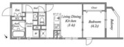 グランデュオ田園調布4 303 間取り図