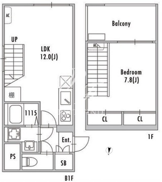 グランパセオ阿佐ヶ谷2 003 間取り図