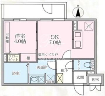 ラヴィエール大島＆ｍｅｗ 102 間取り図