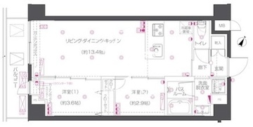 ズーム練馬高野台 209 間取り図