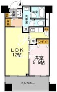カスタリア荒川 204 間取り図