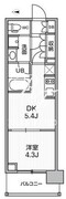 シーズンフラッツ菊川ノース 302 間取り図