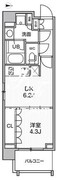 シーズンフラッツ菊川ノース 507 間取り図