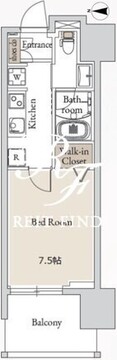 ブレス亀戸 509 間取り図