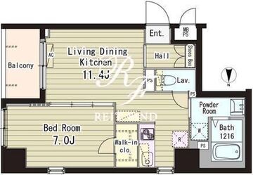 フォンターナ入谷 507 間取り図
