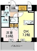 ロイジェント豊島園 304 間取り図