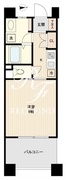 ドゥーエ板橋 501 間取り図