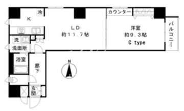 メゾン ASAKUSA G3 304 間取り図