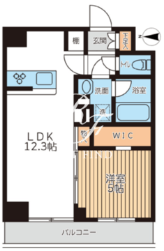 アジールコート西馬込2 205 間取り図