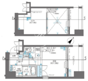 ズーム目黒 301 間取り図