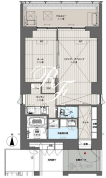 ルーチェヴィラ菊川 501 間取り図
